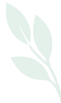 A descriptive text of the image