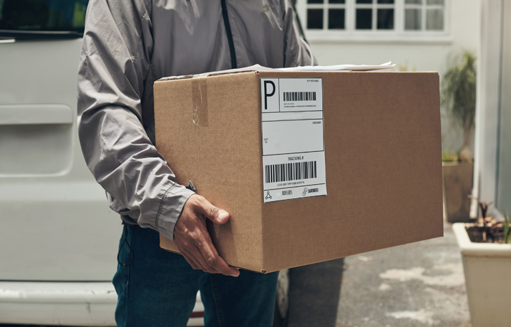 Supply Chain & Distribution